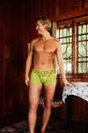 Boxershorts LATTENGEBIRGE maigrün