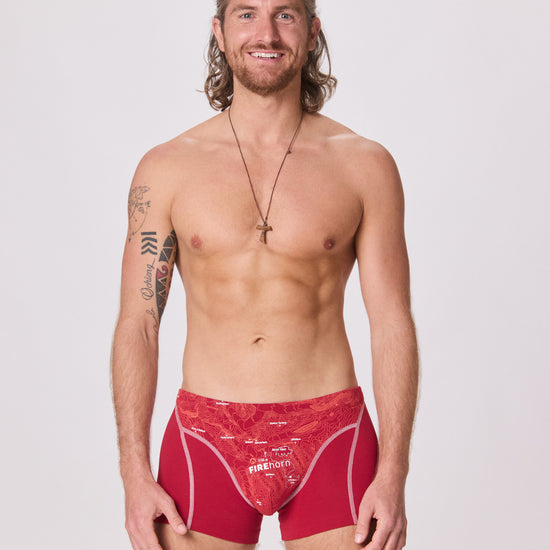 EIN SCHÖNER FLECK ERDE. Unterhose mit Berg. Schweizer Berg FIREHORN auf Unterhose. Boxershorts aus Bio-Baumwolle. Boxershorts slow fashion. GOTS