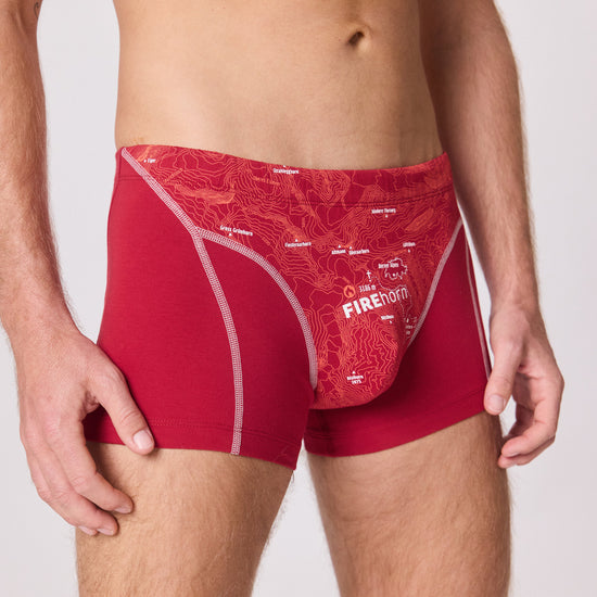EIN SCHÖNER FLECK ERDE. Unterhose mit Berg. Schweizer Berg FIREHORN auf Unterhose. Boxershorts aus Bio-Baumwolle. Boxershorts slow fashion. GOTS