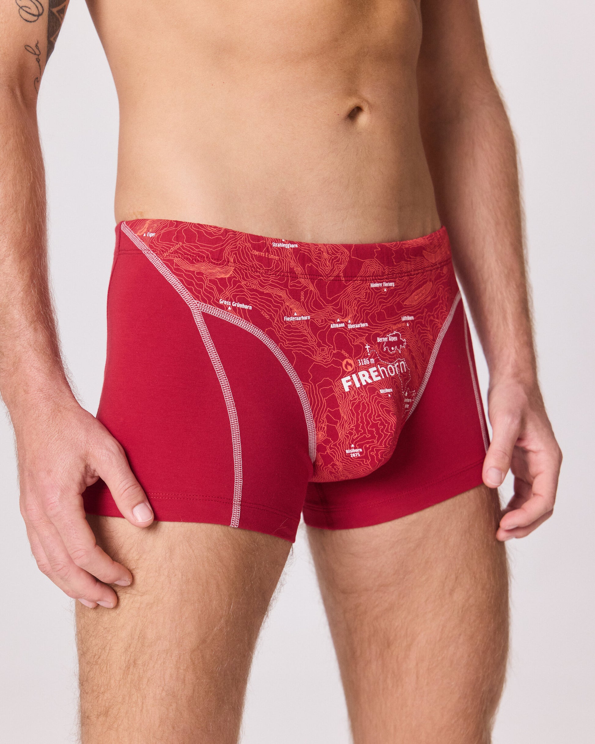 EIN SCHÖNER FLECK ERDE. Unterhose mit Berg. Schweizer Berg FIREHORN auf Unterhose. Boxershorts aus Bio-Baumwolle. Boxershorts slow fashion. GOTS