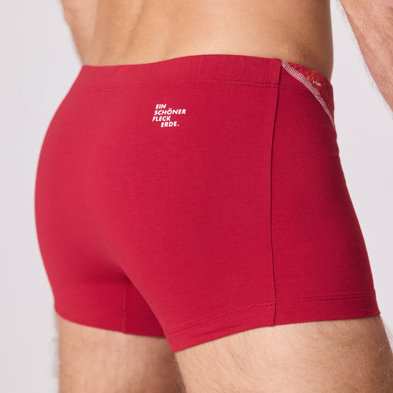 EIN SCHÖNER FLECK ERDE. Unterhose mit Berg. Schweizer Berg FIREHORN auf Unterhose. Boxershorts aus Bio-Baumwolle. Boxershorts slow fashion. GOTS