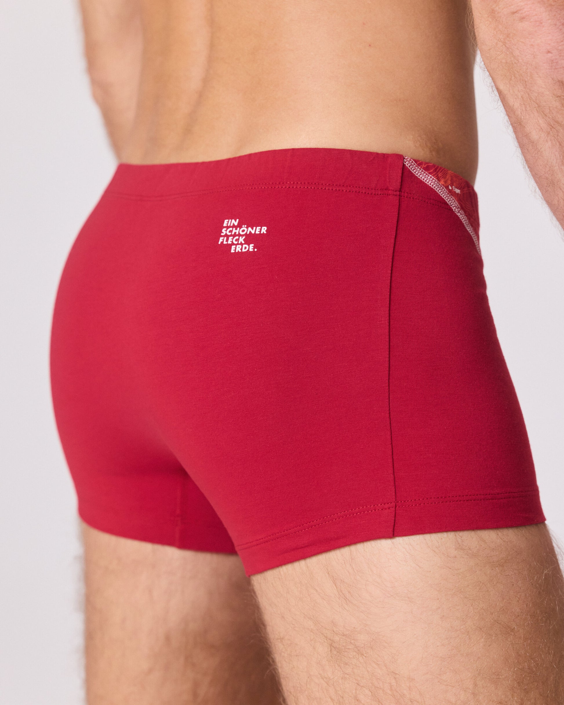 EIN SCHÖNER FLECK ERDE. Unterhose mit Berg. Schweizer Berg FIREHORN auf Unterhose. Boxershorts aus Bio-Baumwolle. Boxershorts slow fashion. GOTS